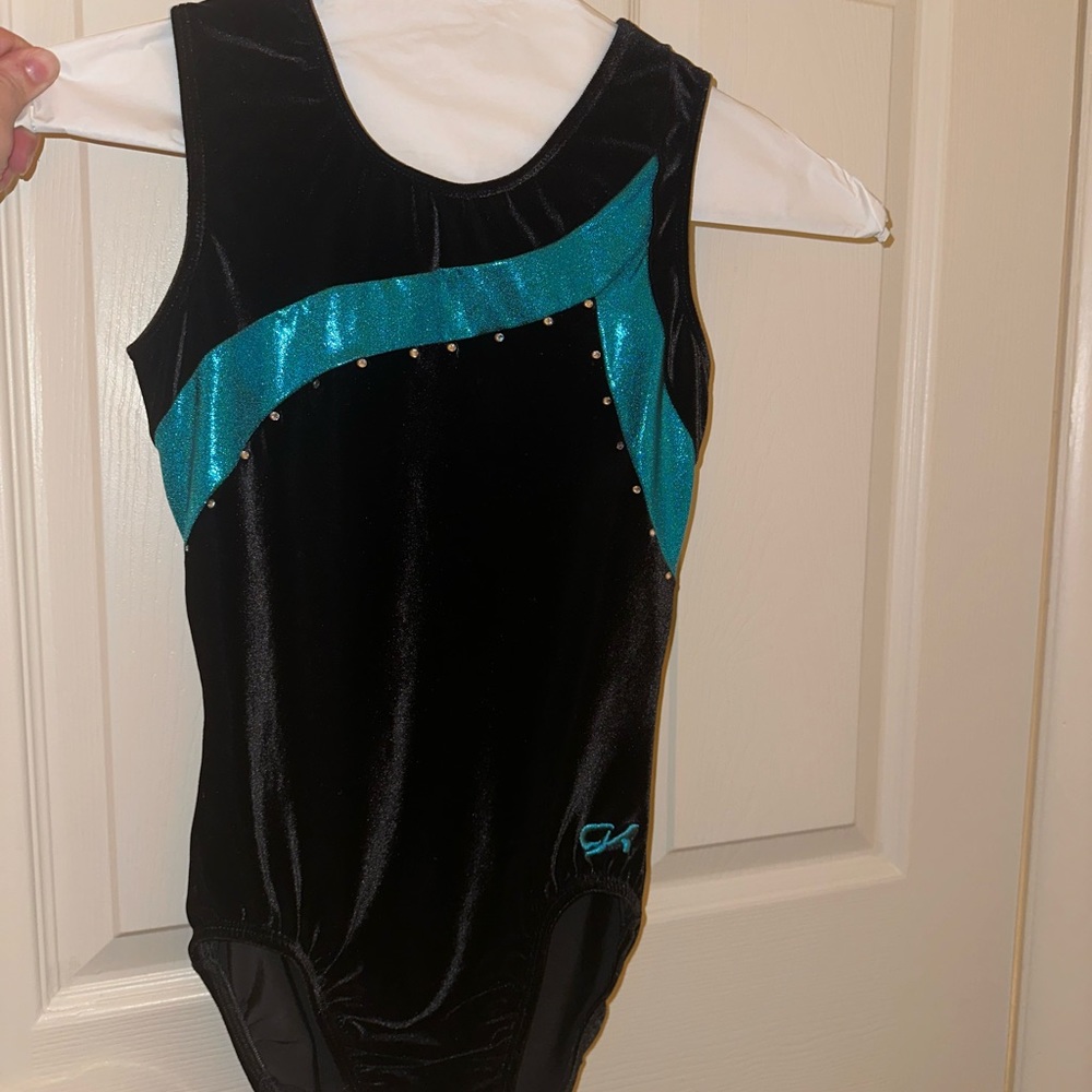 Adult Medium GK Teal Black Leotard, Velvet